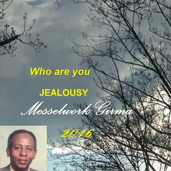 Who Are You / Jealousy by Messelwork Girma