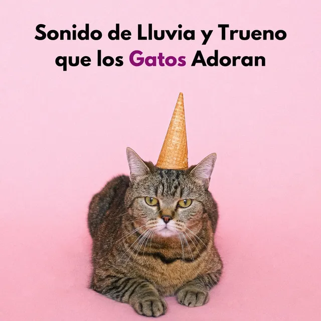 Sonido De Lluvia Para Gatos