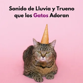 Sonido De Lluvia Y Trueno Que Los Gatos Adoran by Proyecto Global Tormenta