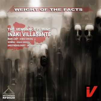 The Weight Of The Facts by I.Villasante