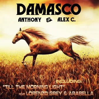 Damasco by Alex C.