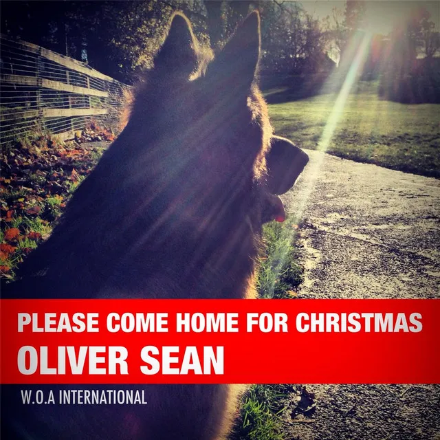 Please Come Home for Christmas