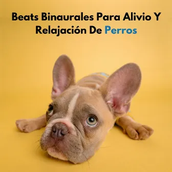 Beats Binaurales Para Alivio Y Relajación De Perros by Perritos Fantásticos