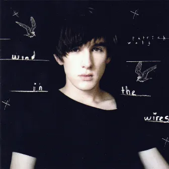 Wind in the Wires by Patrick Wolf