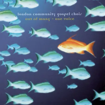 Out Of Many - One Voice by London Community Gospel Choir