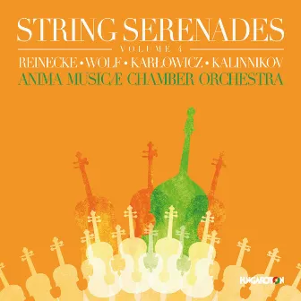 String Serenades, Volume 4 by Anima Musicae Chamber Orchestra