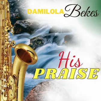 HIS PRAISE by DAMILOLA BEKES