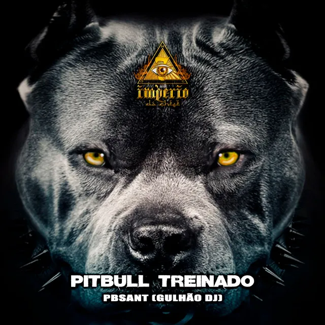 Pitbull Treinado