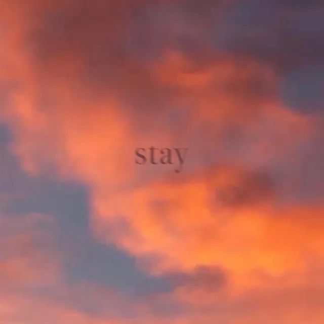 stay