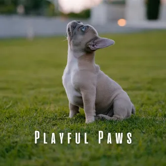 Playful Paws: Music for Happy Pets by Happy Afternoon Music