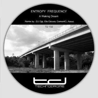 A Waking Dream by Entropy Frequency