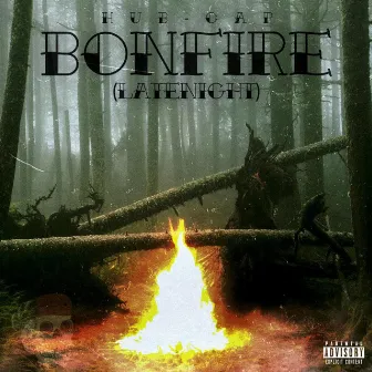 Bonfire(LateNight) by Hubcap