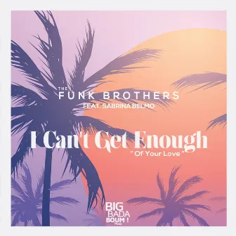 I Can't Get Enough Of Your Love by The Funk Brothers