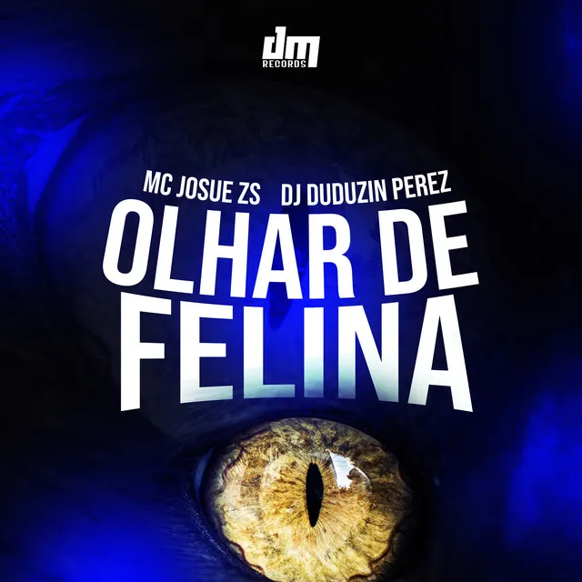 Olhar de Felina