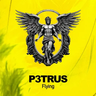 Flying by P3TRUS