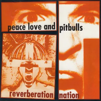 Reverberation Nation by Peace, Love & Pitbulls