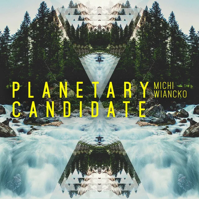 Planetary Candidate