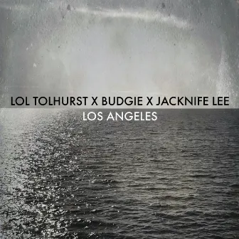 Los Angeles (with James Murphy) by Budgie