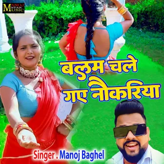 Balam Chale Gaye Naukariya by Manoj Baghel