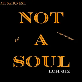 Not a Soul by Luh 6ix