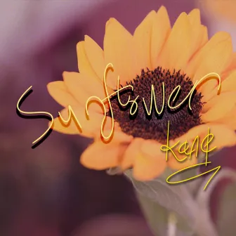 Sunflower by Kang