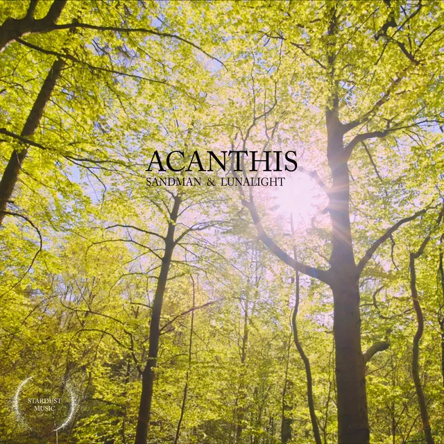 Acanthis