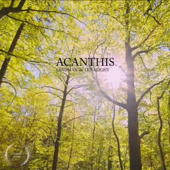 Acanthis by Sandman