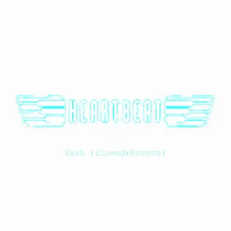 Saah (Slowed+Reverb) by HeartBeat