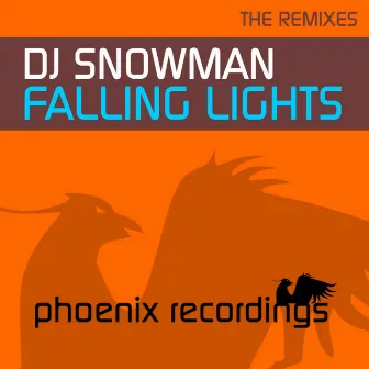 Falling Lights (The Remixes) by DJ Snowman