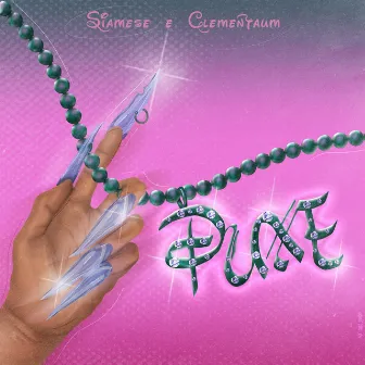 Puxe by Siamese