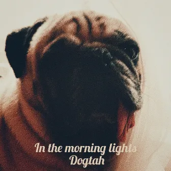 In the morning lights by Dogtah