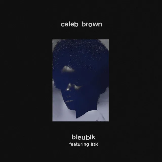 bleublk (feat. IDK)