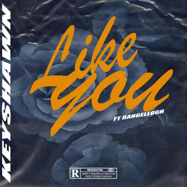 Like You