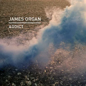 Addict by James Organ