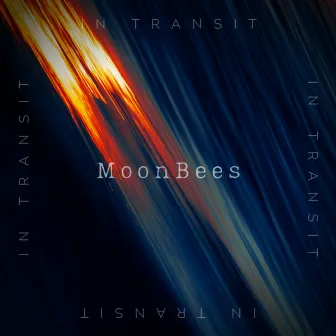 In Transit by MoonBees