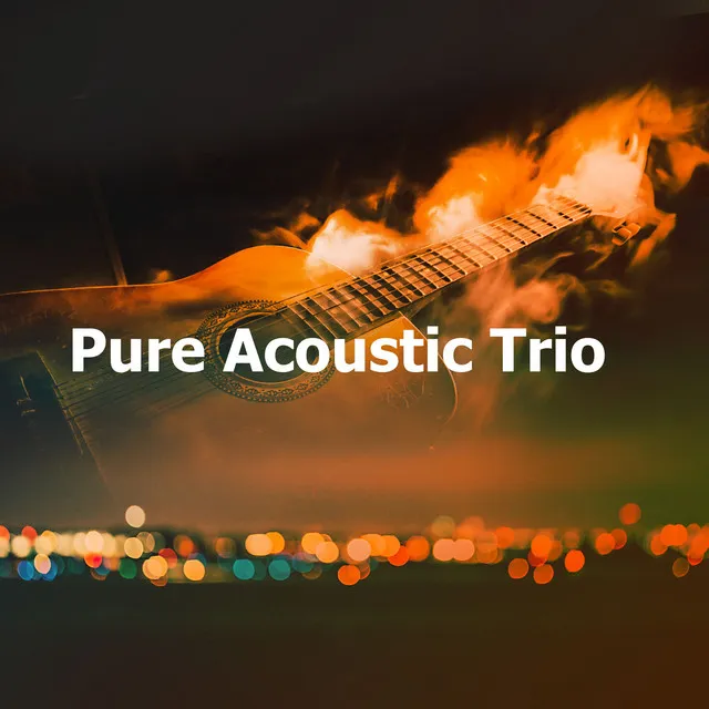 Pure Acoustic Trio