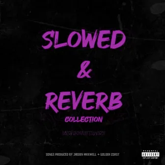 Slowed & Reverb Collection by Jaeden Maxwell