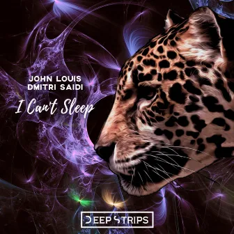 I Can't Sleep by John Louis