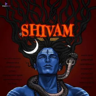 SHIVAM by VISHAY