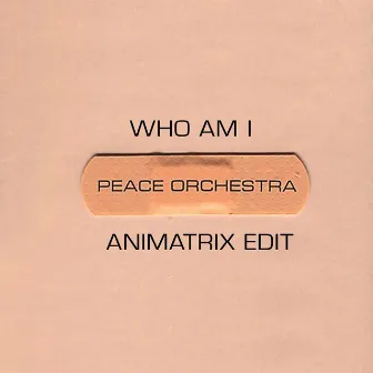 Who Am I (Animatrix Edit) by Peace Orchestra