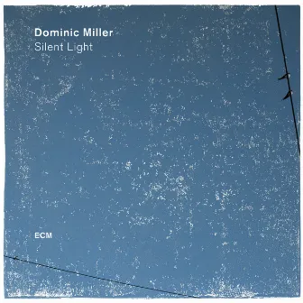 Silent Light by Dominic Miller