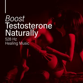 Boost Testosterone Naturally (528 Hz Healing Music for Sensual and Intimate Erotic Moments, Tantra, Kamasutra and Sexual Meditation) by Sensual Shades Chill Zone