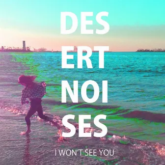 I Won't See You by Desert Noises