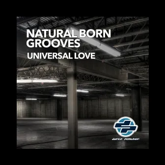 Universal Love by Natural Born Grooves