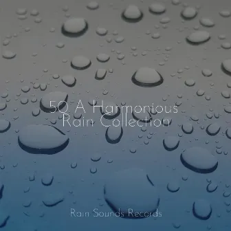 50 A Harmonious Rain Collection by Bird Sounds