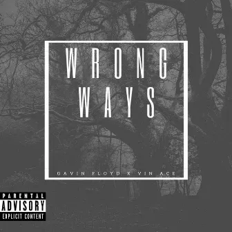 Wrong Ways by vin ace