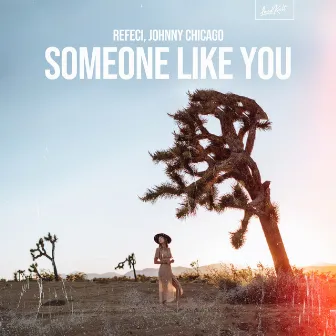 Someone Like You by Johnny Chicago