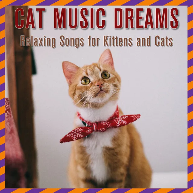 Cat Music Dreams: Relaxing songs for kittens and cats