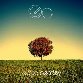 Go by David Bentley