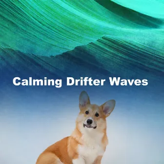 Calming Drifter Waves by Calming Dog Music